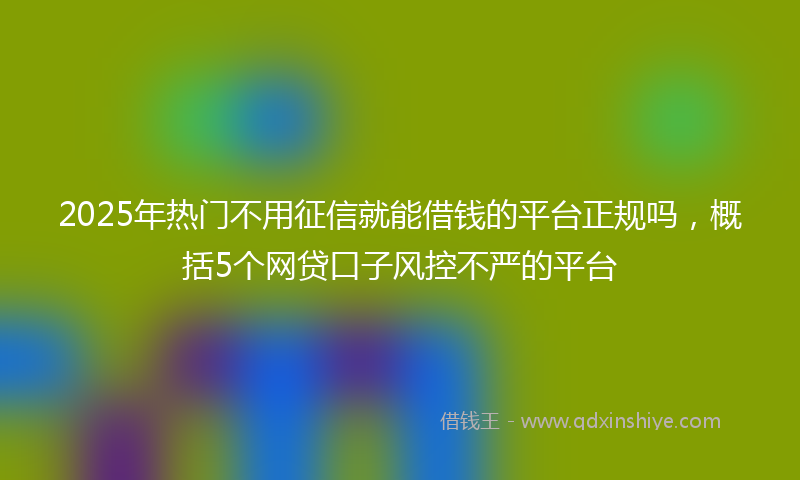 2025年热门不用征信就能借钱的平台正规吗，概括5个网贷口子风控不严的平台