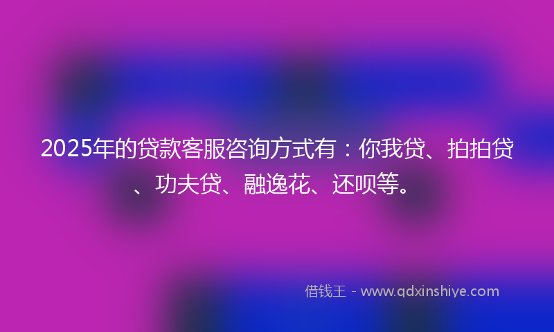 2025年的贷款客服咨询方式有：你我贷、拍拍贷、功夫贷、融逸花、还呗等。