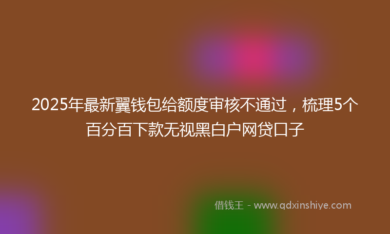 2025年最新翼钱包给额度审核不通过，梳理5个百分百下款无视黑白户网贷口子