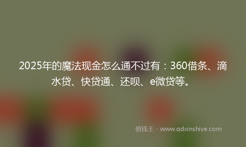 2025年的魔法现金怎么通不过有：360借条、滴水贷、快贷通、还呗、e微贷等。