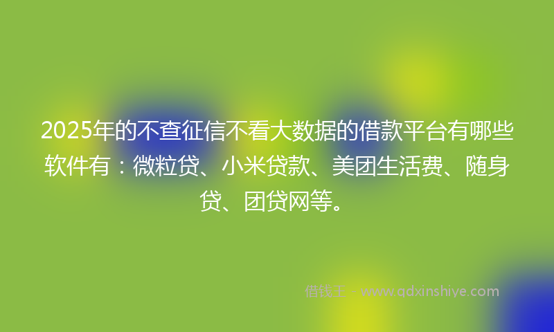 2025年的不查征信不看大数据的借款平台有哪些软件有：微粒贷、小米贷款、美团生活费、随身贷、团贷网等。