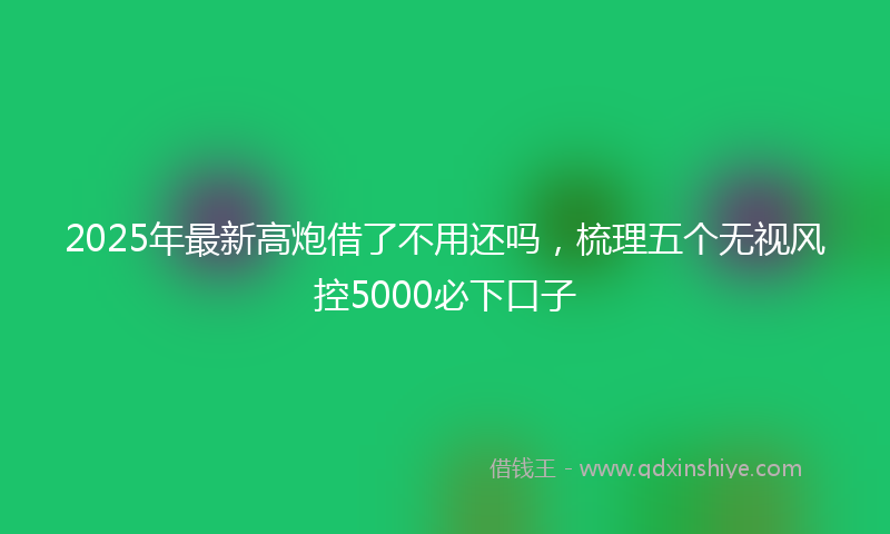2025年最新高炮借了不用还吗，梳理五个无视风控5000必下口子
