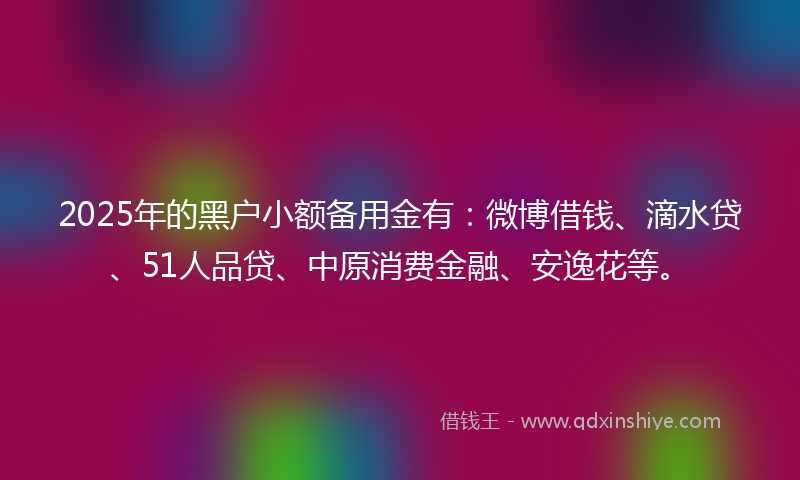 2025年的黑户小额备用金有：微博借钱、滴水贷、51人品贷、中原消费金融、安逸花等。