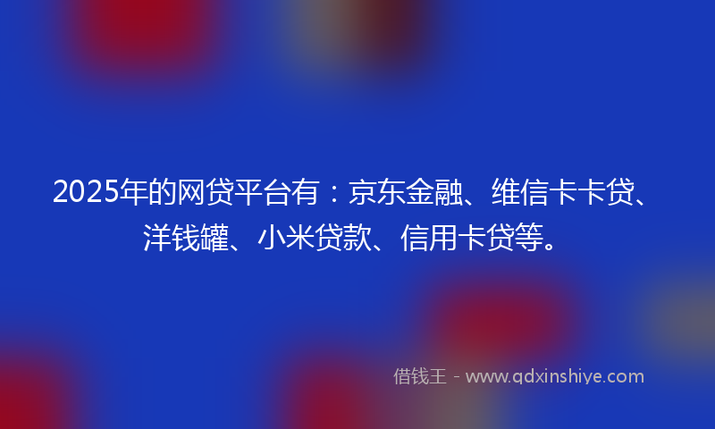 2025年的网贷平台有：京东金融、维信卡卡贷、洋钱罐、小米贷款、信用卡贷等。
