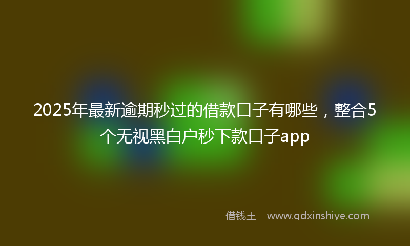 2025年最新逾期秒过的借款口子有哪些，整合5个无视黑白户秒下款口子app