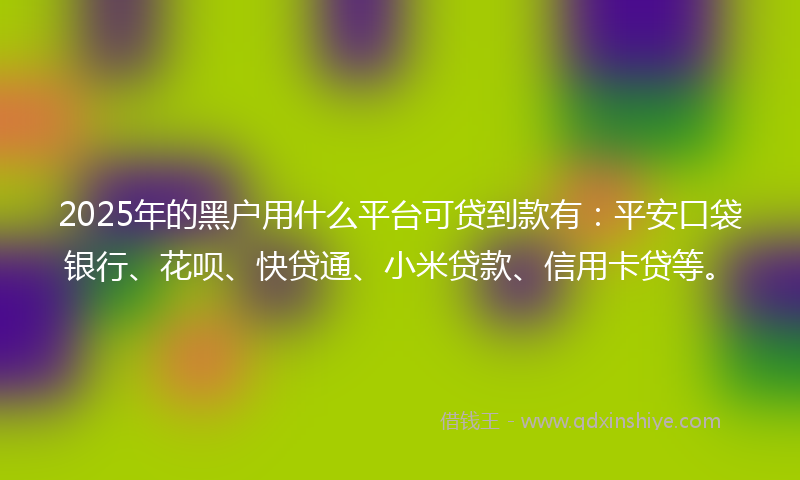 2025年的黑户用什么平台可贷到款有：平安口袋银行、花呗、快贷通、小米贷款、信用卡贷等。