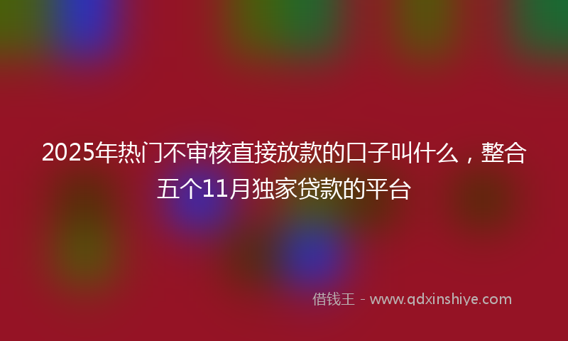 2025年热门不审核直接放款的口子叫什么，整合五个11月独家贷款的平台
