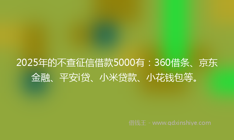 2025年的不查征信借款5000有：360借条、京东金融、平安i贷、小米贷款、小花钱包等。