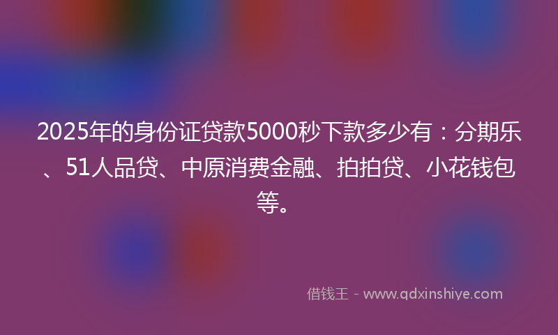 2025年的身份证贷款5000秒下款多少有：分期乐、51人品贷、中原消费金融、拍拍贷、小花钱包等。