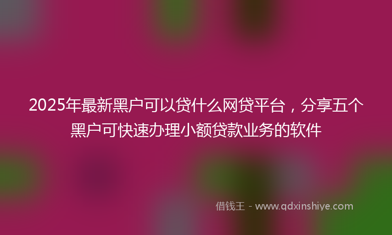 2025年最新黑户可以贷什么网贷平台，分享五个黑户可快速办理小额贷款业务的软件