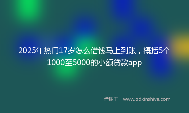 2025年热门17岁怎么借钱马上到账，概括5个1000至5000的小额贷款app