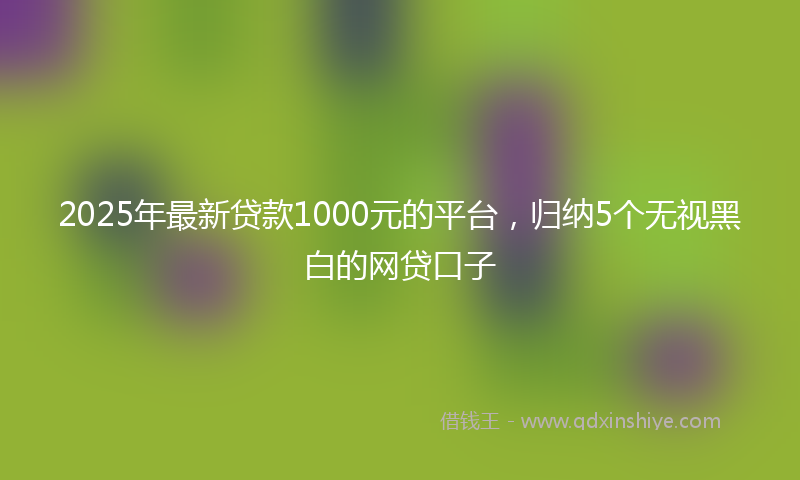 2025年最新贷款1000元的平台，归纳5个无视黑白的网贷口子