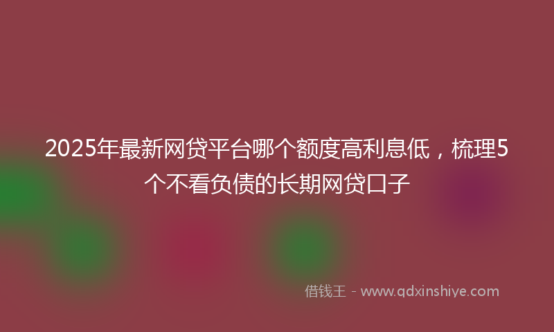 2025年最新网贷平台哪个额度高利息低，梳理5个不看负债的长期网贷口子