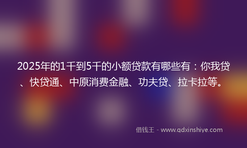 2025年的1千到5千的小额贷款有哪些有：你我贷、快贷通、中原消费金融、功夫贷、拉卡拉等。