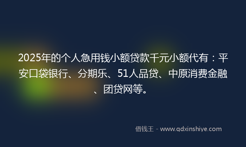 2025年的个人急用钱小额贷款千元小额代有：平安口袋银行、分期乐、51人品贷、中原消费金融、团贷网等。