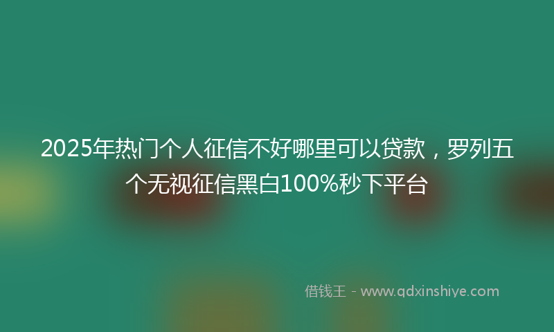 2025年热门个人征信不好哪里可以贷款，罗列五个无视征信黑白100%秒下平台