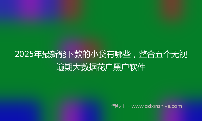 2025年最新能下款的小贷有哪些，整合五个无视逾期大数据花户黑户软件