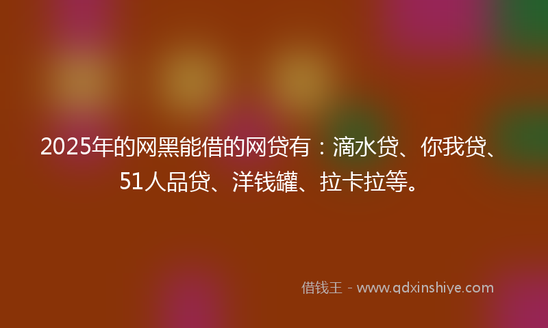 2025年的网黑能借的网贷有：滴水贷、你我贷、51人品贷、洋钱罐、拉卡拉等。