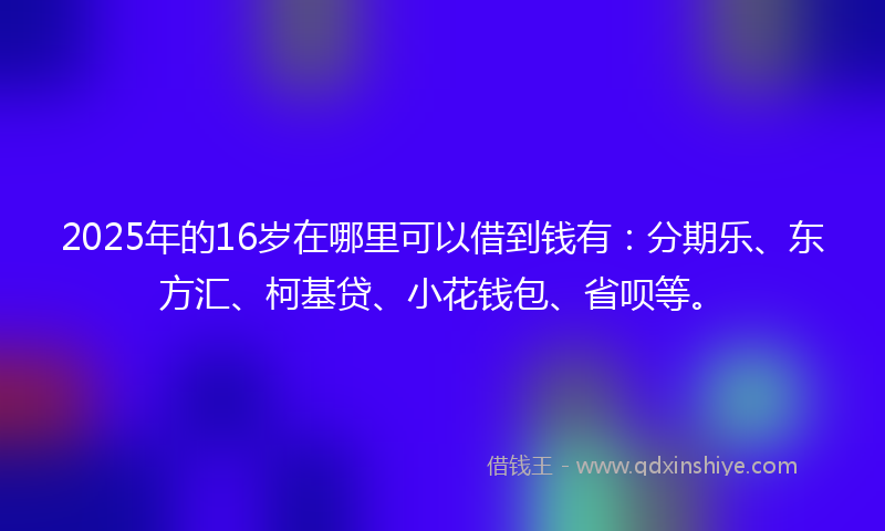 2025年的16岁在哪里可以借到钱有：分期乐、东方汇、柯基贷、小花钱包、省呗等。