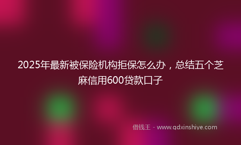 2025年最新被保险机构拒保怎么办，总结五个芝麻信用600贷款口子