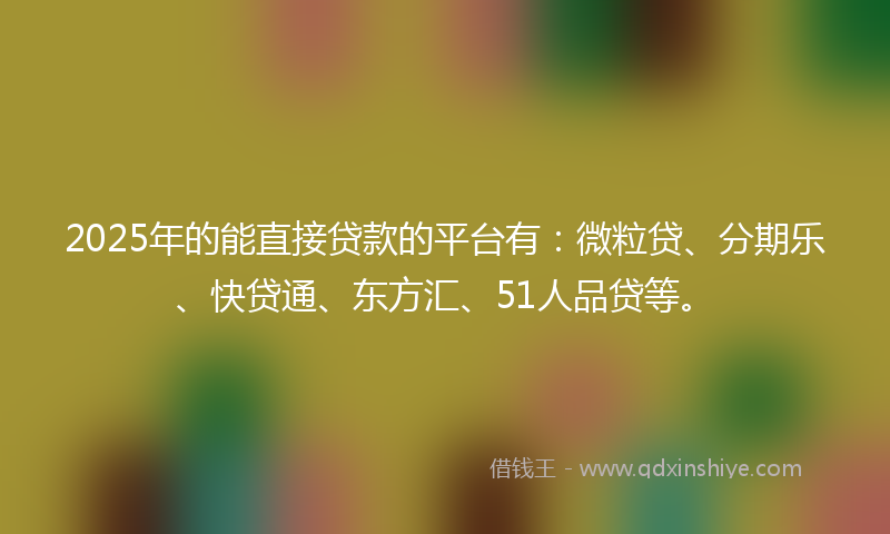 2025年的能直接贷款的平台有：微粒贷、分期乐、快贷通、东方汇、51人品贷等。