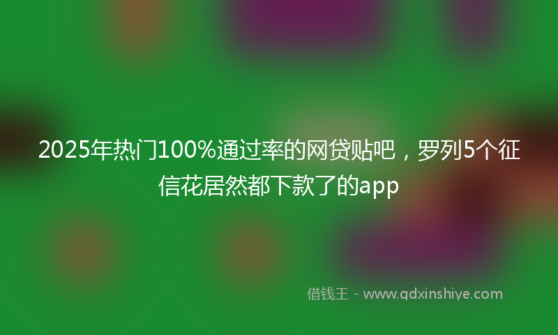 2025年热门100%通过率的网贷贴吧，罗列5个征信花居然都下款了的app