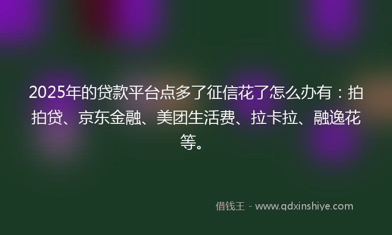 2025年的贷款平台点多了征信花了怎么办有：拍拍贷、京东金融、美团生活费、拉卡拉、融逸花等。