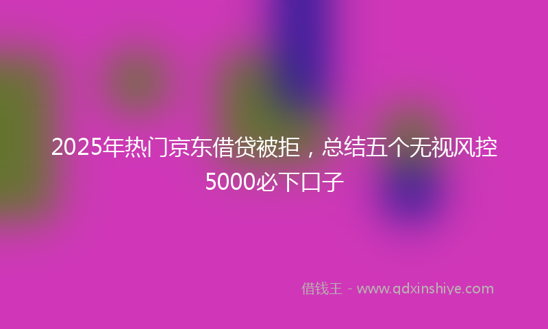 2025年热门京东借贷被拒，总结五个无视风控5000必下口子