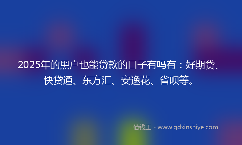 2025年的黑户也能贷款的口子有吗有：好期贷、快贷通、东方汇、安逸花、省呗等。