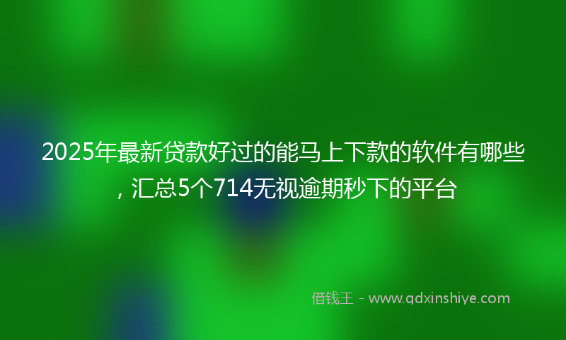 2025年最新贷款好过的能马上下款的软件有哪些，汇总5个714无视逾期秒下的平台