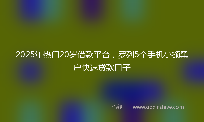 2025年热门20岁借款平台，罗列5个手机小额黑户快速贷款口子