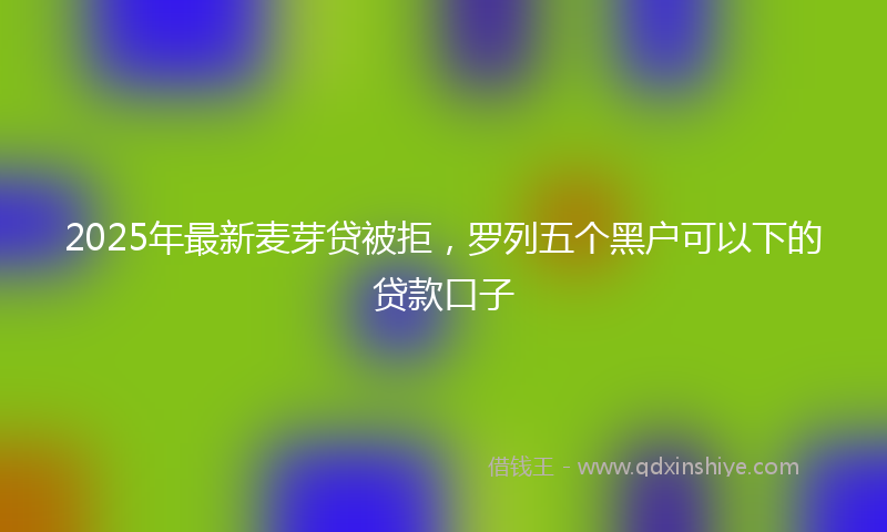 2025年最新麦芽贷被拒，罗列五个黑户可以下的贷款口子