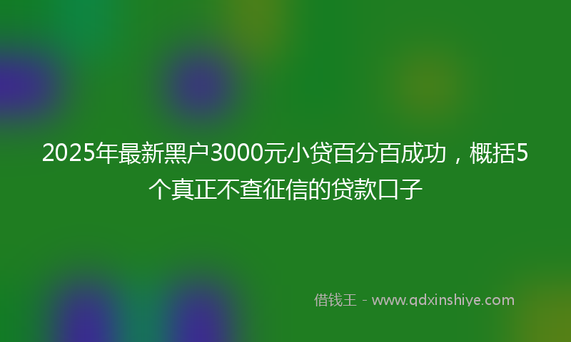 2025年最新黑户3000元小贷百分百成功，概括5个真正不查征信的贷款口子