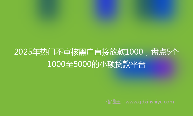 2025年热门不审核黑户直接放款1000，盘点5个1000至5000的小额贷款平台