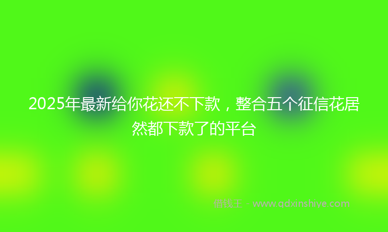 2025年最新给你花还不下款，整合五个征信花居然都下款了的平台