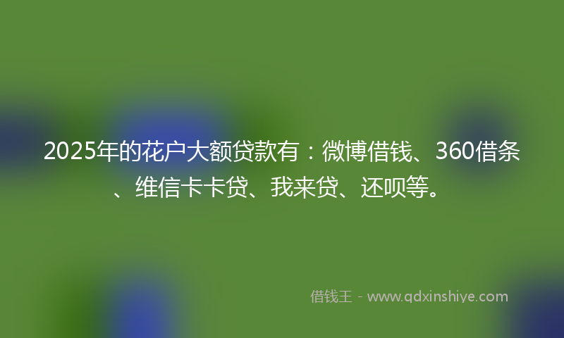2025年的花户大额贷款有：微博借钱、360借条、维信卡卡贷、我来贷、还呗等。