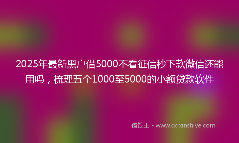 2025年最新黑户借5000不看征信秒下款微信还能用吗，梳理五个1000至5000的小额贷款软件