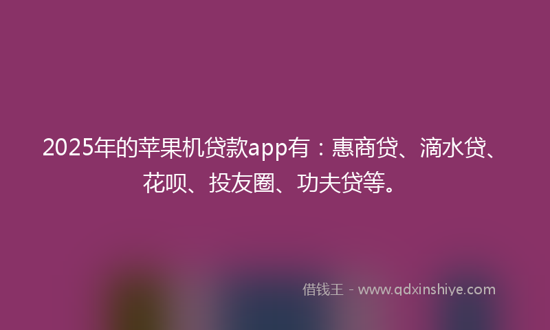 2025年的苹果机贷款app有：惠商贷、滴水贷、花呗、投友圈、功夫贷等。