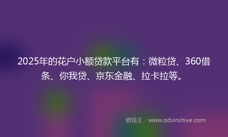 2025年的花户小额贷款平台有：微粒贷、360借条、你我贷、京东金融、拉卡拉等。
