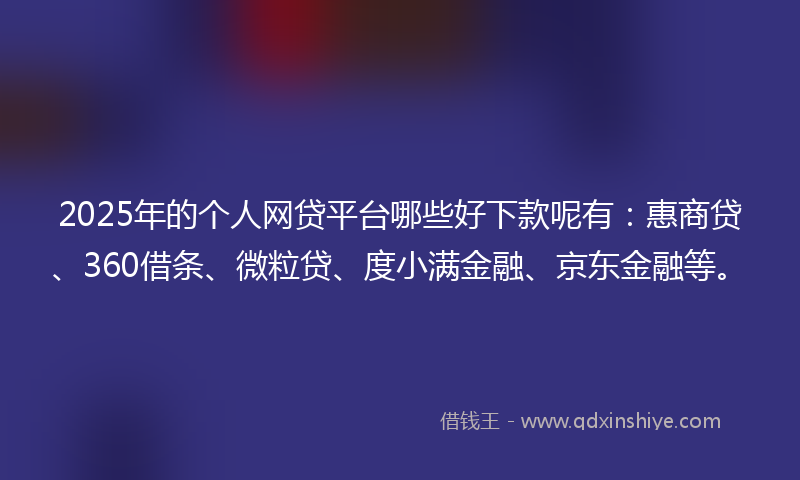 2025年的个人网贷平台哪些好下款呢有：惠商贷、360借条、微粒贷、度小满金融、京东金融等。
