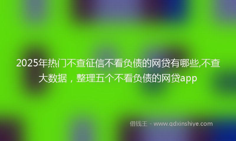 2025年热门不查征信不看负债的网贷有哪些,不查大数据，整理五个不看负债的网贷app
