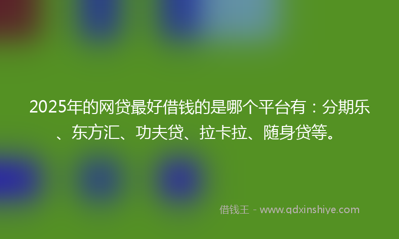 2025年的网贷最好借钱的是哪个平台有：分期乐、东方汇、功夫贷、拉卡拉、随身贷等。