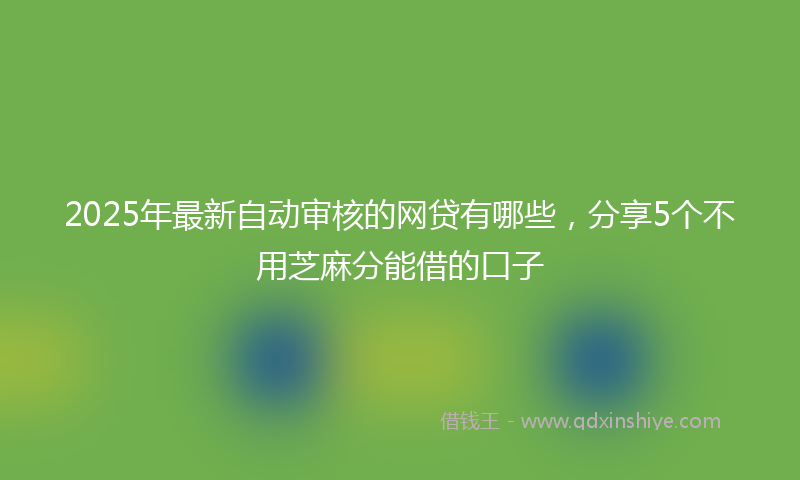 2025年最新自动审核的网贷有哪些，分享5个不用芝麻分能借的口子
