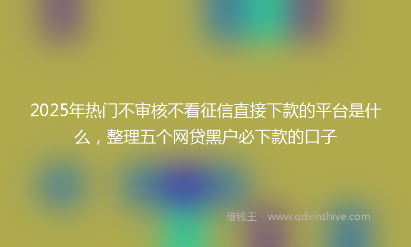 2025年热门不审核不看征信直接下款的平台是什么，整理五个网贷黑户必下款的口子