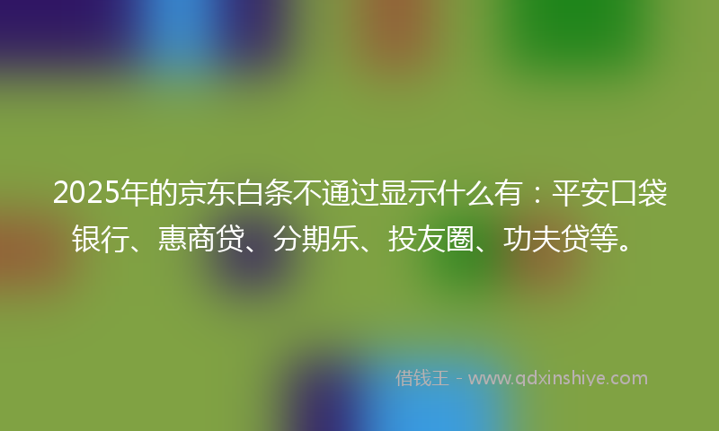 2025年的京东白条不通过显示什么有：平安口袋银行、惠商贷、分期乐、投友圈、功夫贷等。