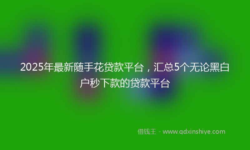 2025年最新随手花贷款平台，汇总5个无论黑白户秒下款的贷款平台