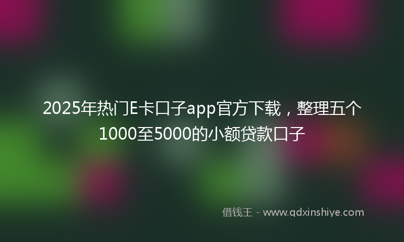 2025年热门E卡口子app官方下载，整理五个1000至5000的小额贷款口子