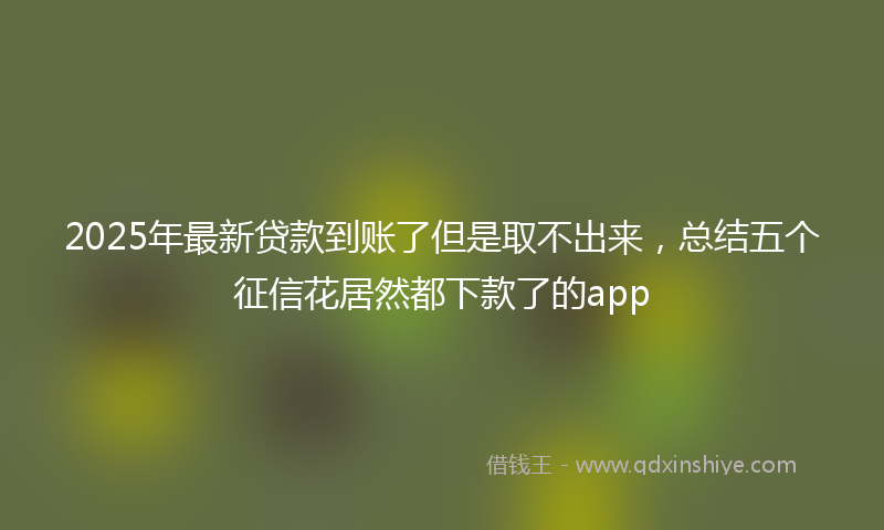 2025年最新贷款到账了但是取不出来，总结五个征信花居然都下款了的app