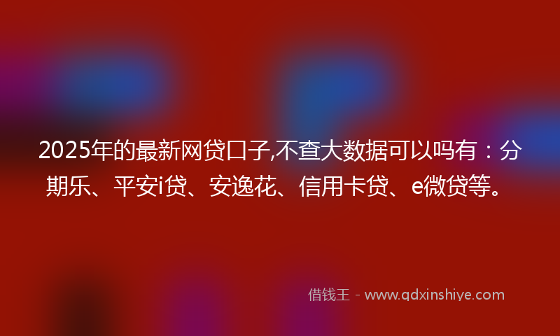 2025年的最新网贷口子,不查大数据可以吗有：分期乐、平安i贷、安逸花、信用卡贷、e微贷等。