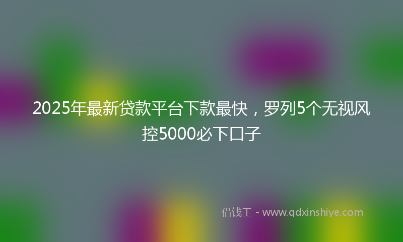 2025年最新贷款平台下款最快，罗列5个无视风控5000必下口子